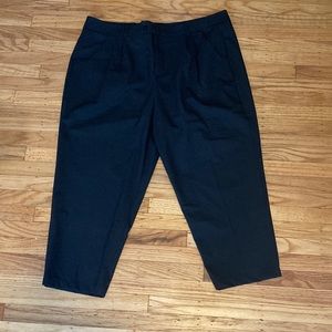 Black Universal Standard 20 ankle length slacks
